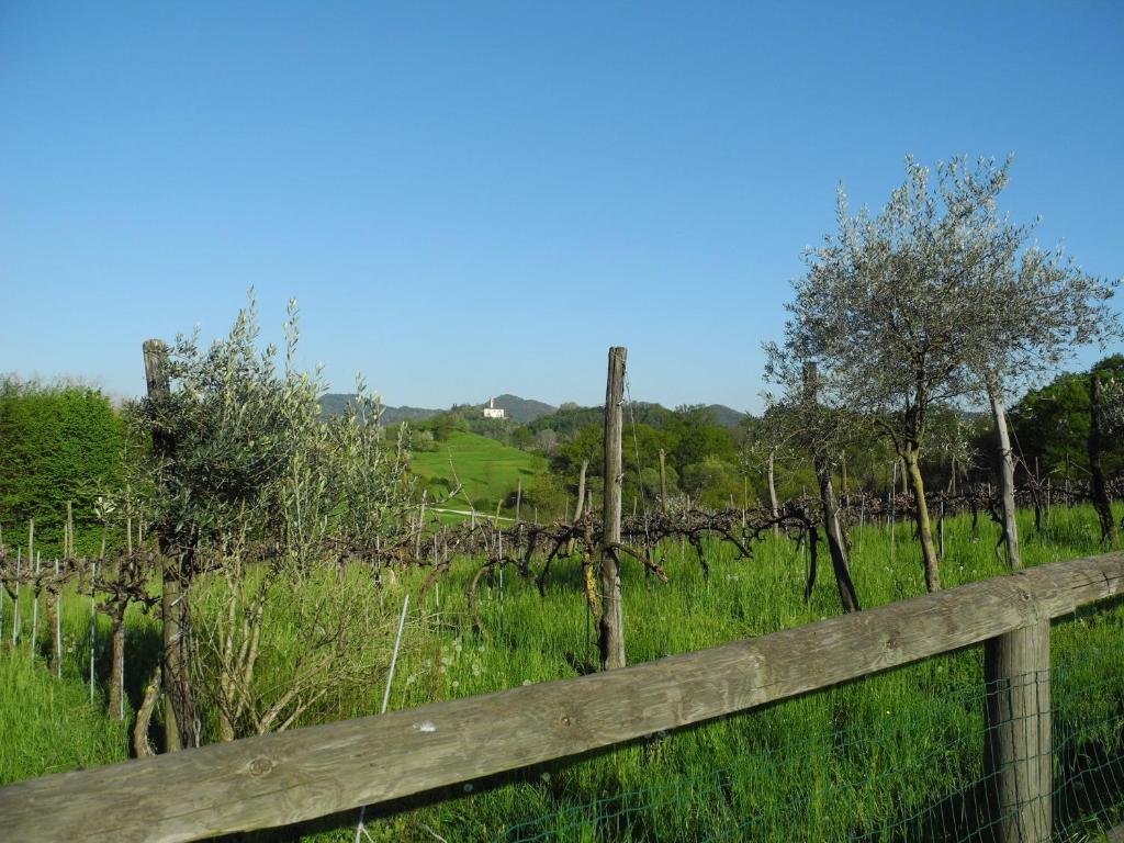 Agriturismo Cornolere Vila Castelcucco Exterior foto